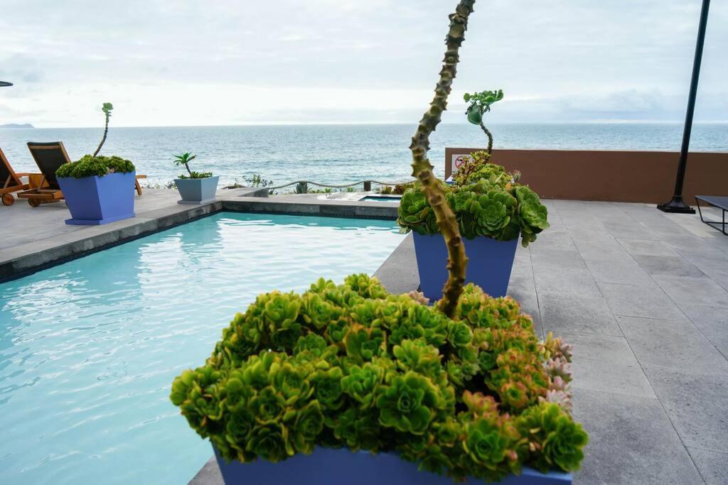 Hotel Suite Luxe Sunset Tijuana Exterior photo